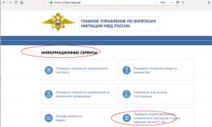 Загранпаспорт гражданина РФ: как проверить его на действительность