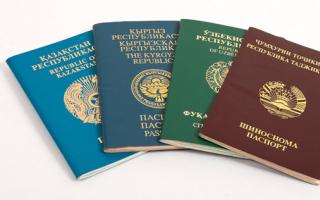 Двойное гражданство в России: закон, уведомление, бланки, можно ли иметь